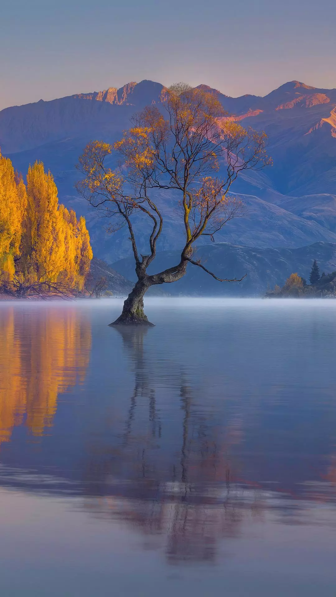 Landscapes