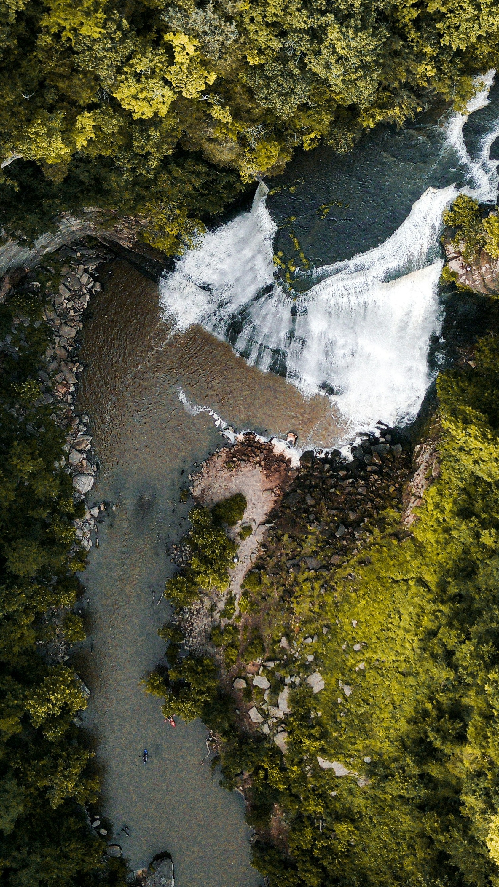 Wallpapers