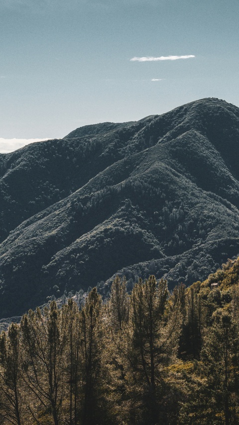Forested Mountain Range Under Blue Sky