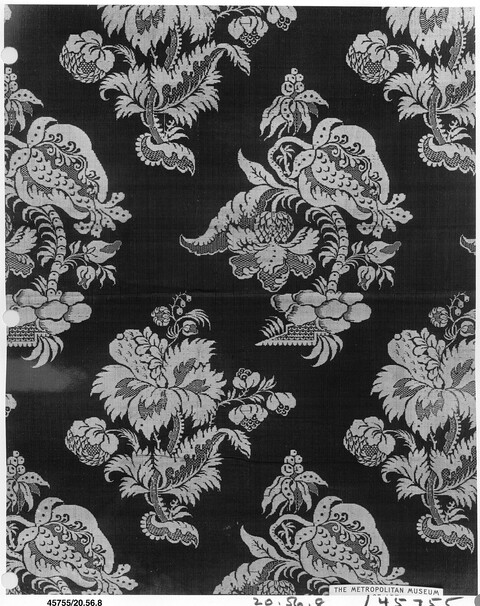 Black and White Floral Textile Pattern