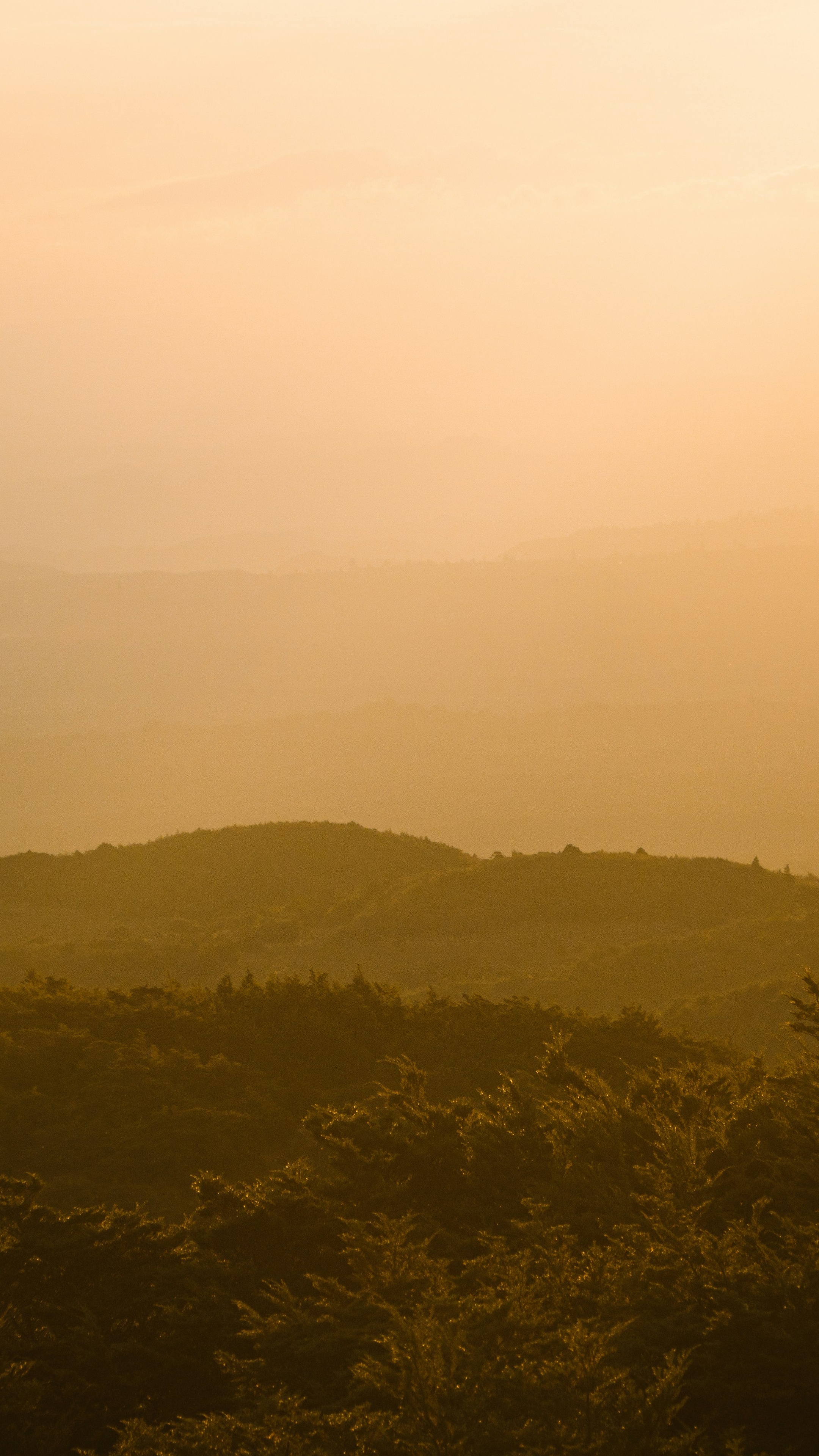 Landscapes