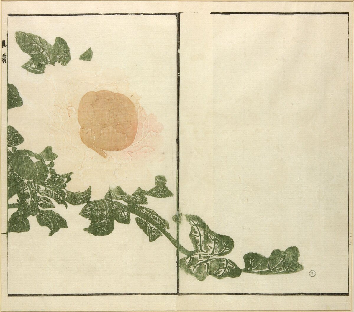 Japanese Woodblock Print of Peony