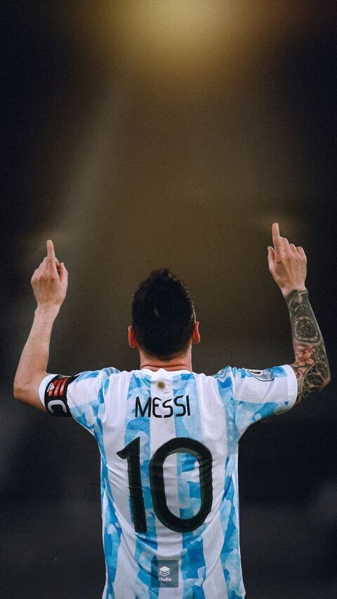 Messi Back View in Argentina Jersey