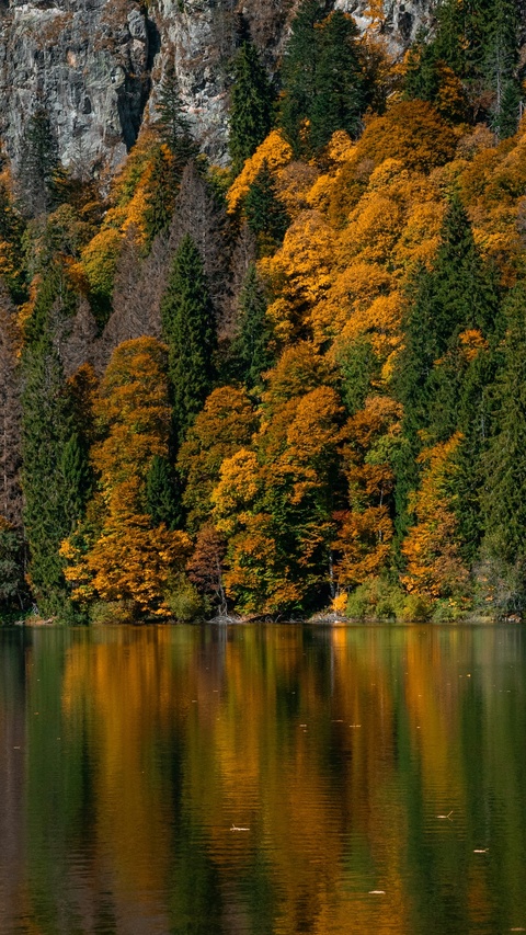 Autumn Lake Reflection