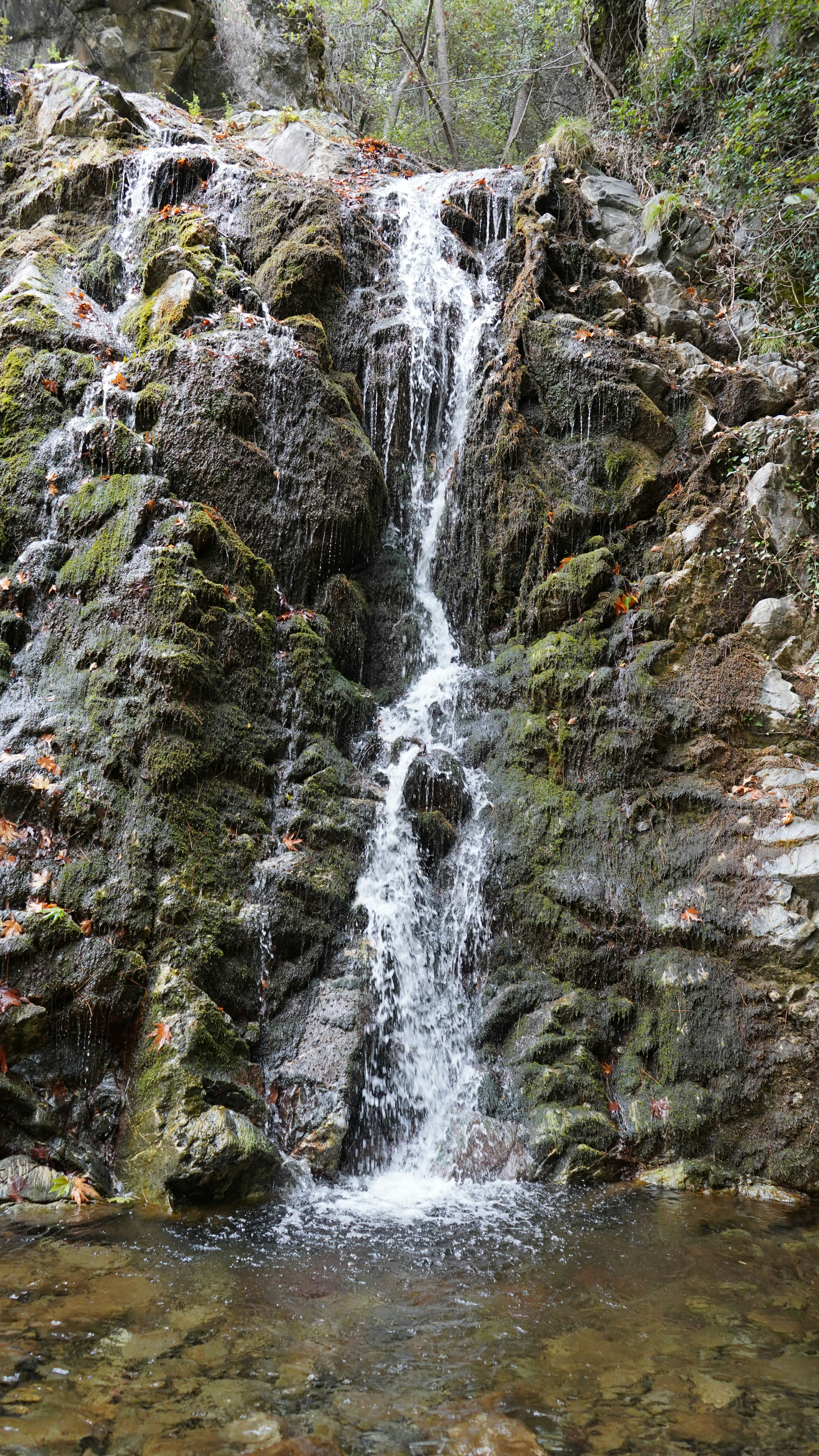 Image 1617635 — Backgrounds