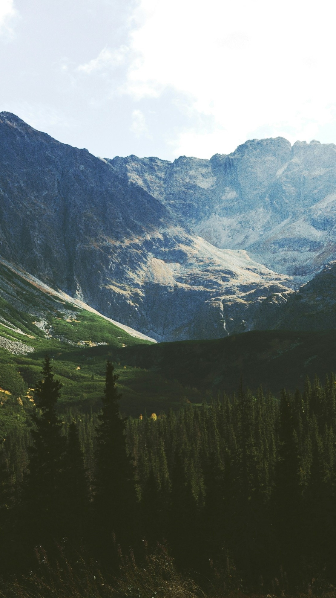 Wallpapers
