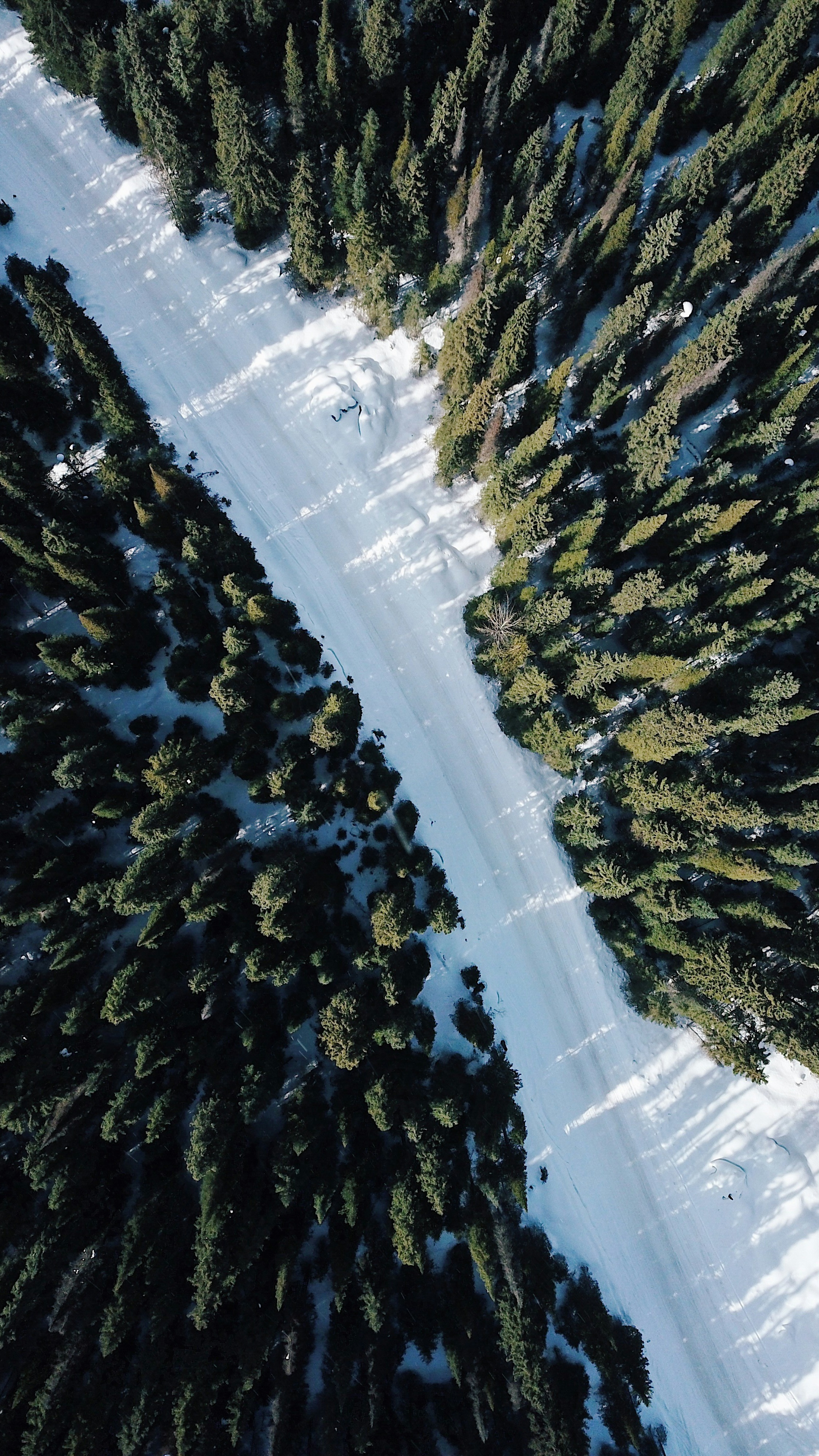 Wallpapers
