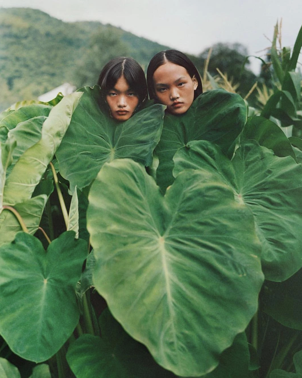 Forest & Flora