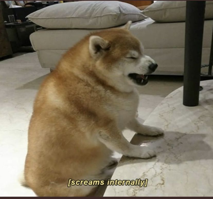 Internally Screaming Shiba Inu Meme