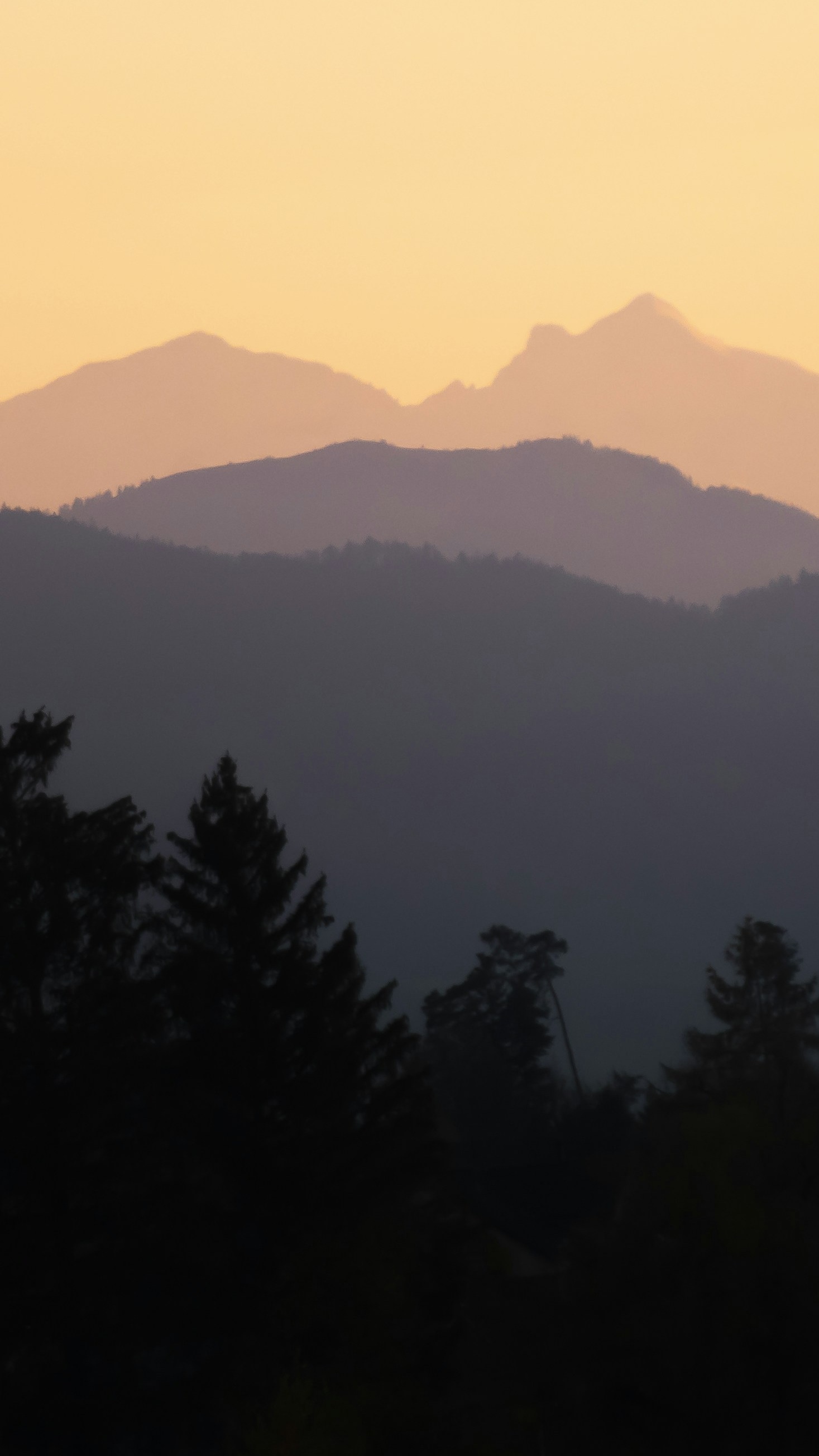 Landscapes