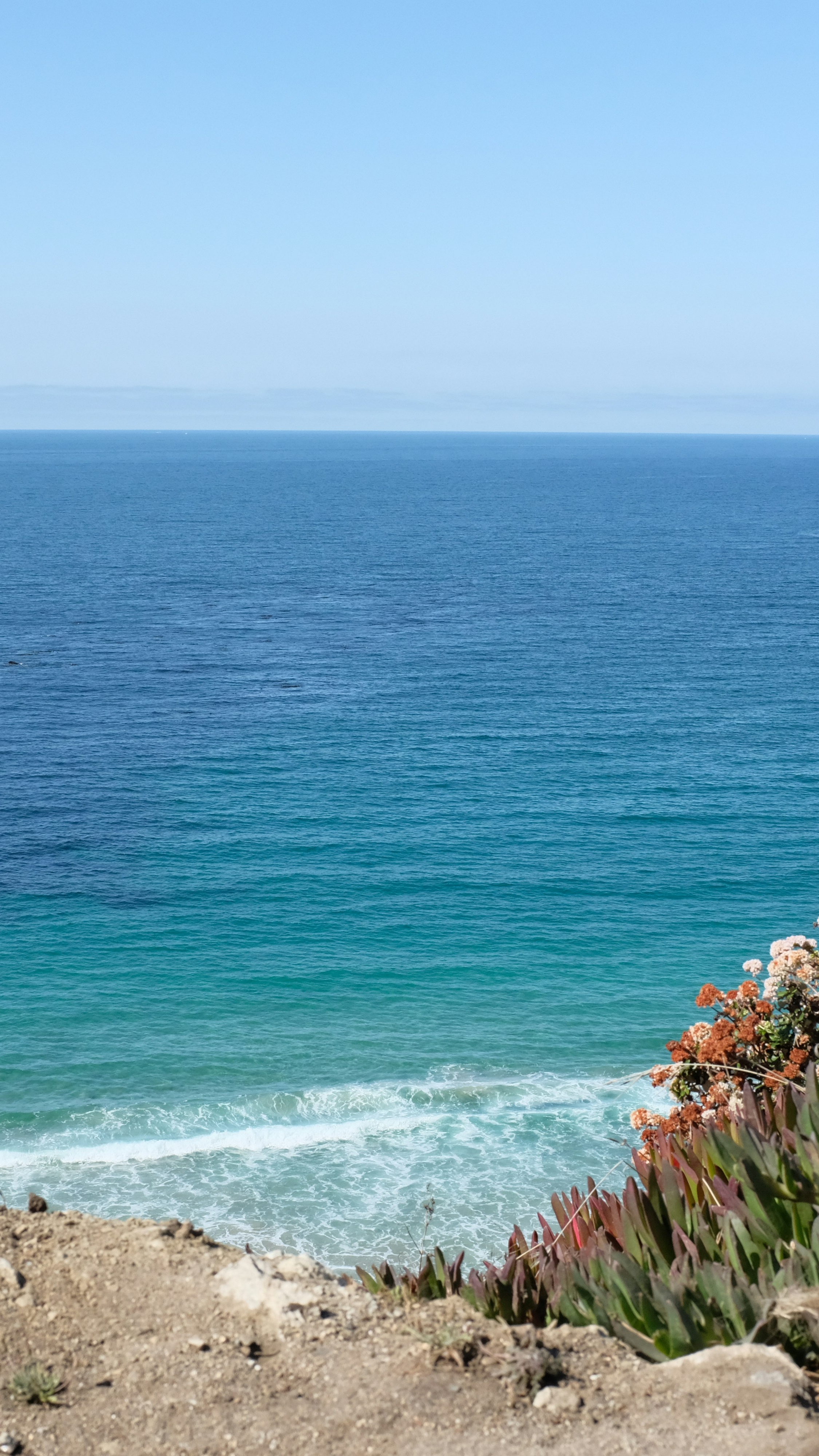 Image 1580603 — Encyclopedia