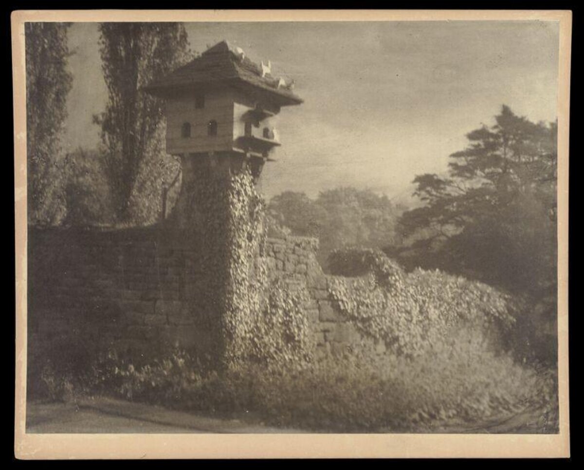 Vintage Ivy Covered Watchtower