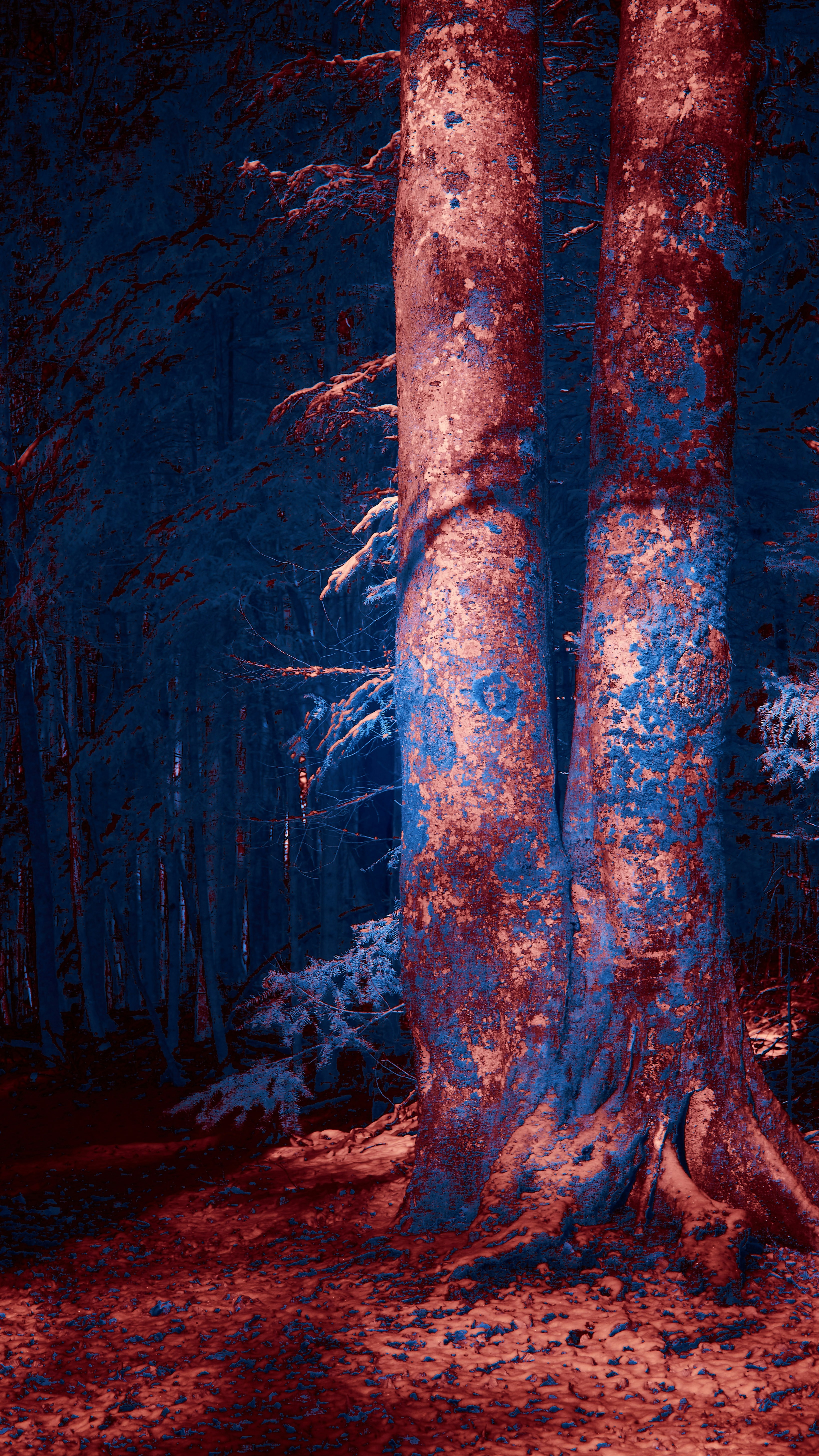 Wallpapers