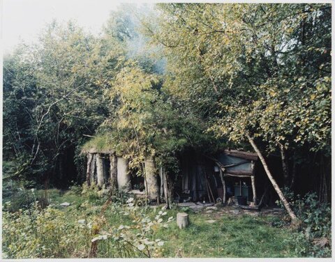 Grass Roof Hut in the Woods