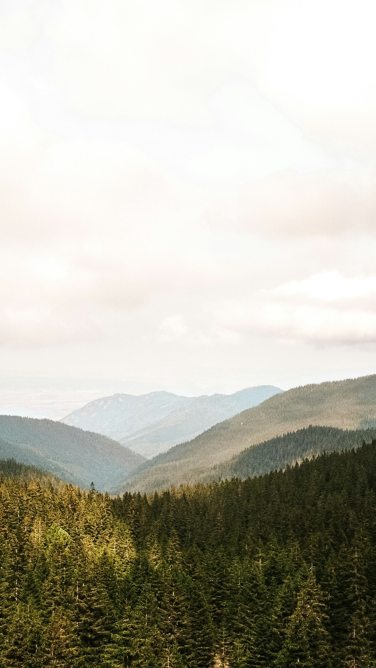 Landscapes