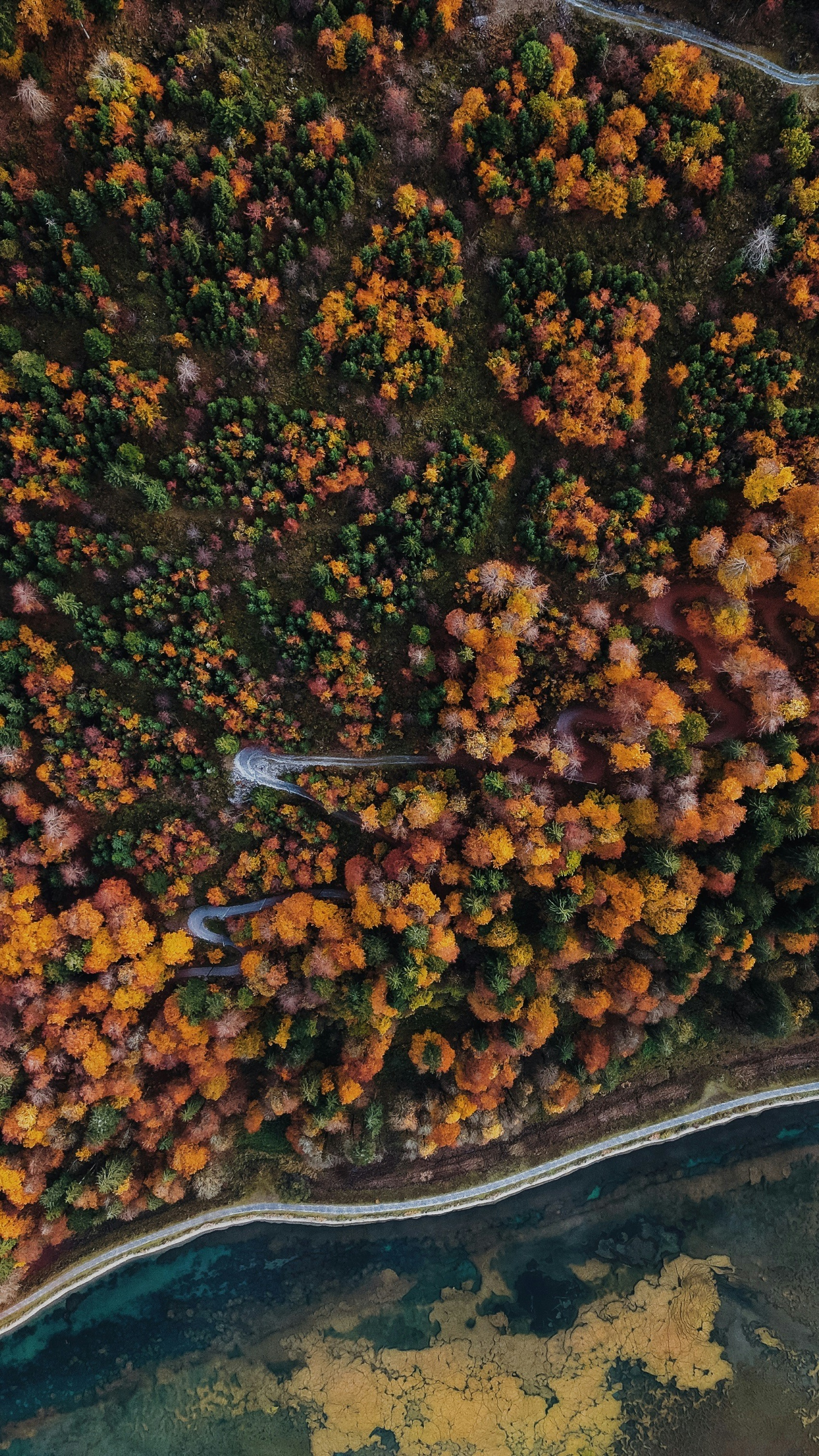 Wallpapers