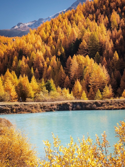 Autumn Mountain Lake Landscape