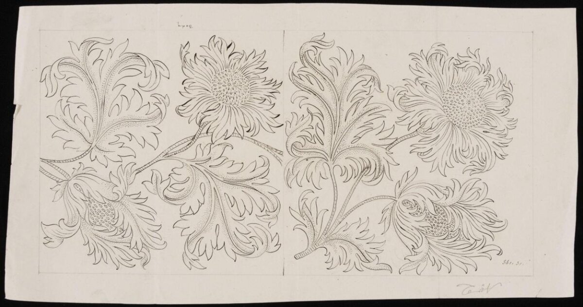 Floral Pattern Ink Line Drawing