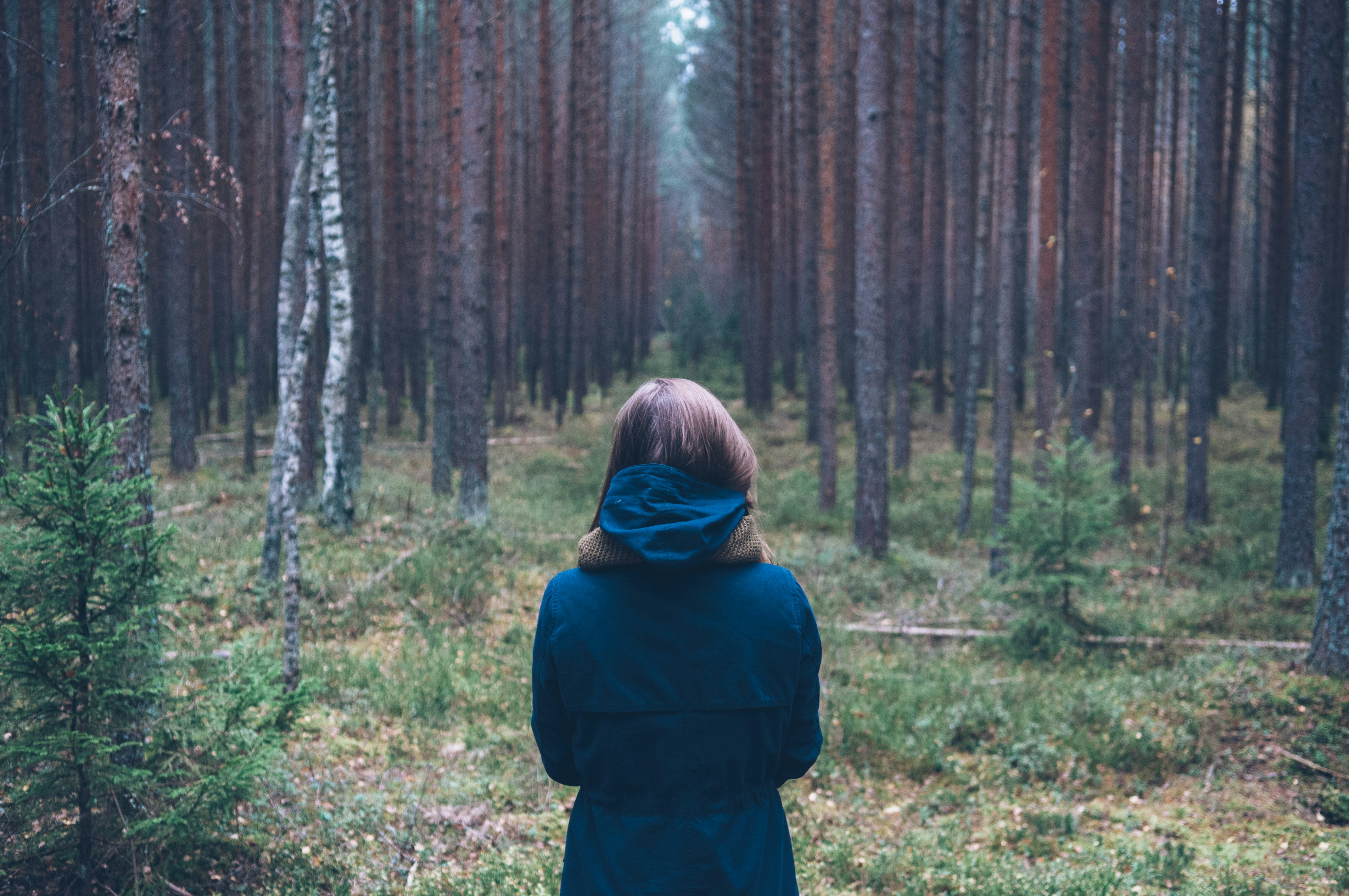 Woman Back View in Dense Forest