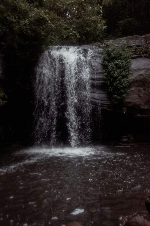 Hidden Forest Waterfall