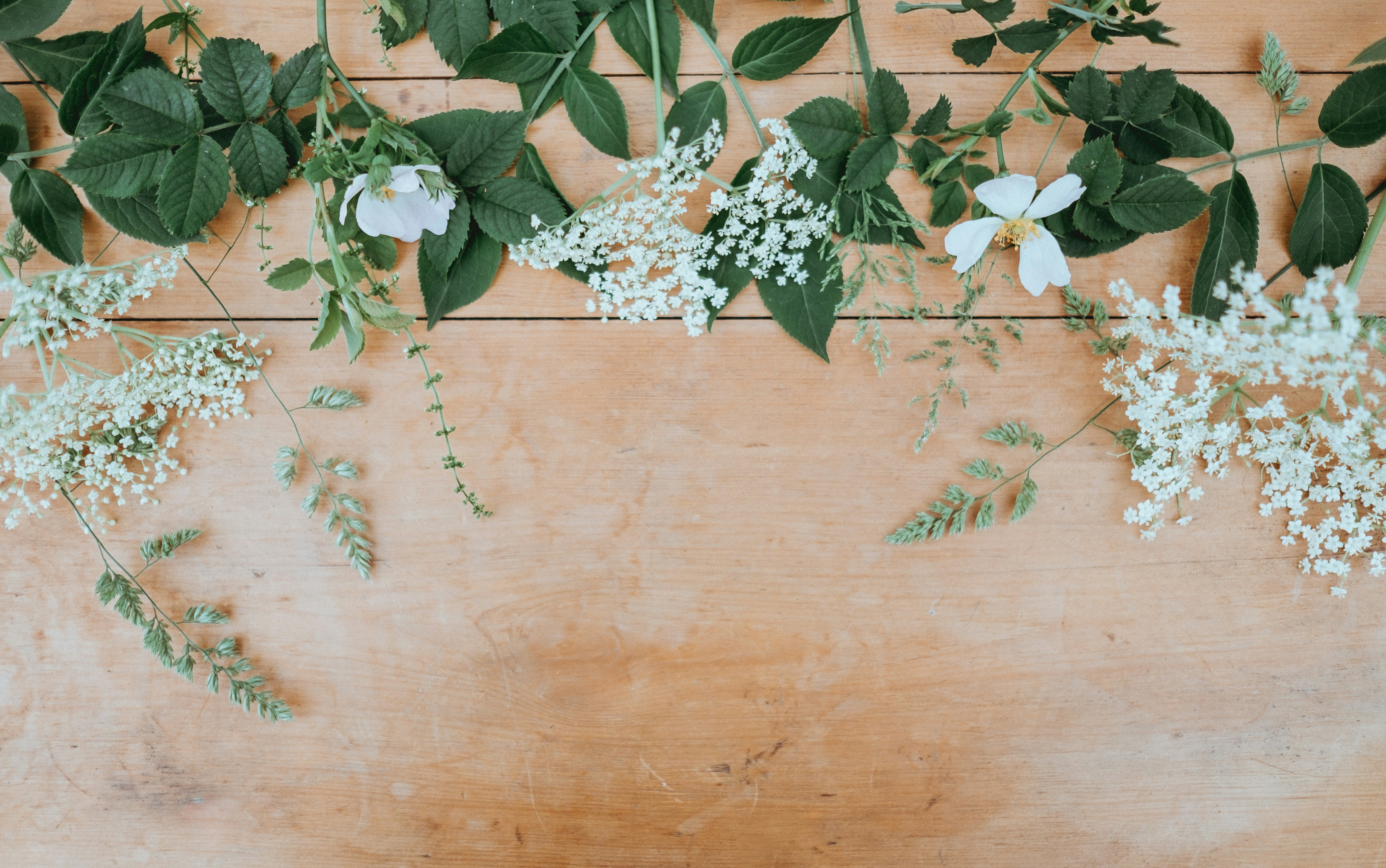 White Wild Flowers on Wooden Planks — Background Images