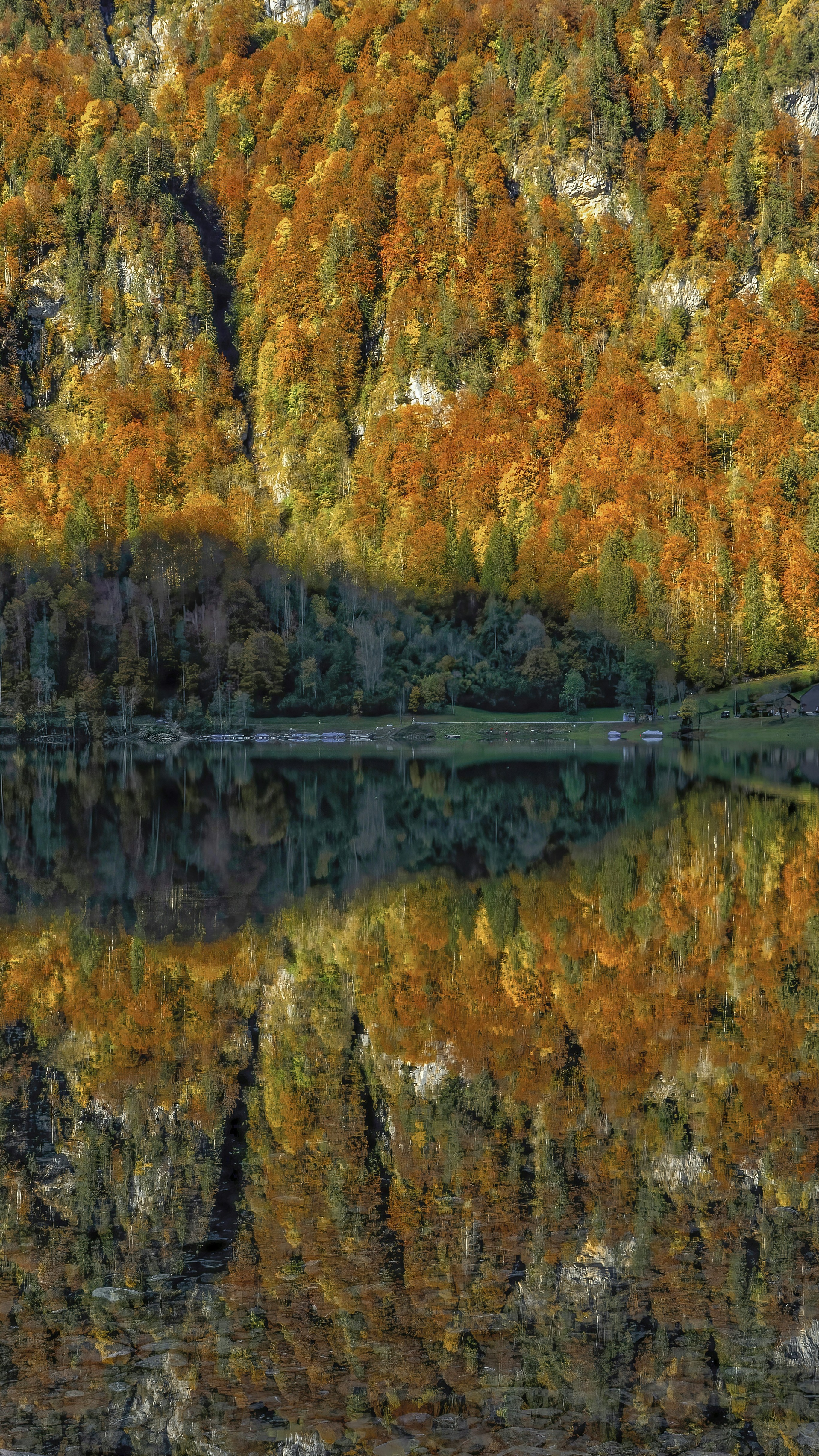 Landscapes