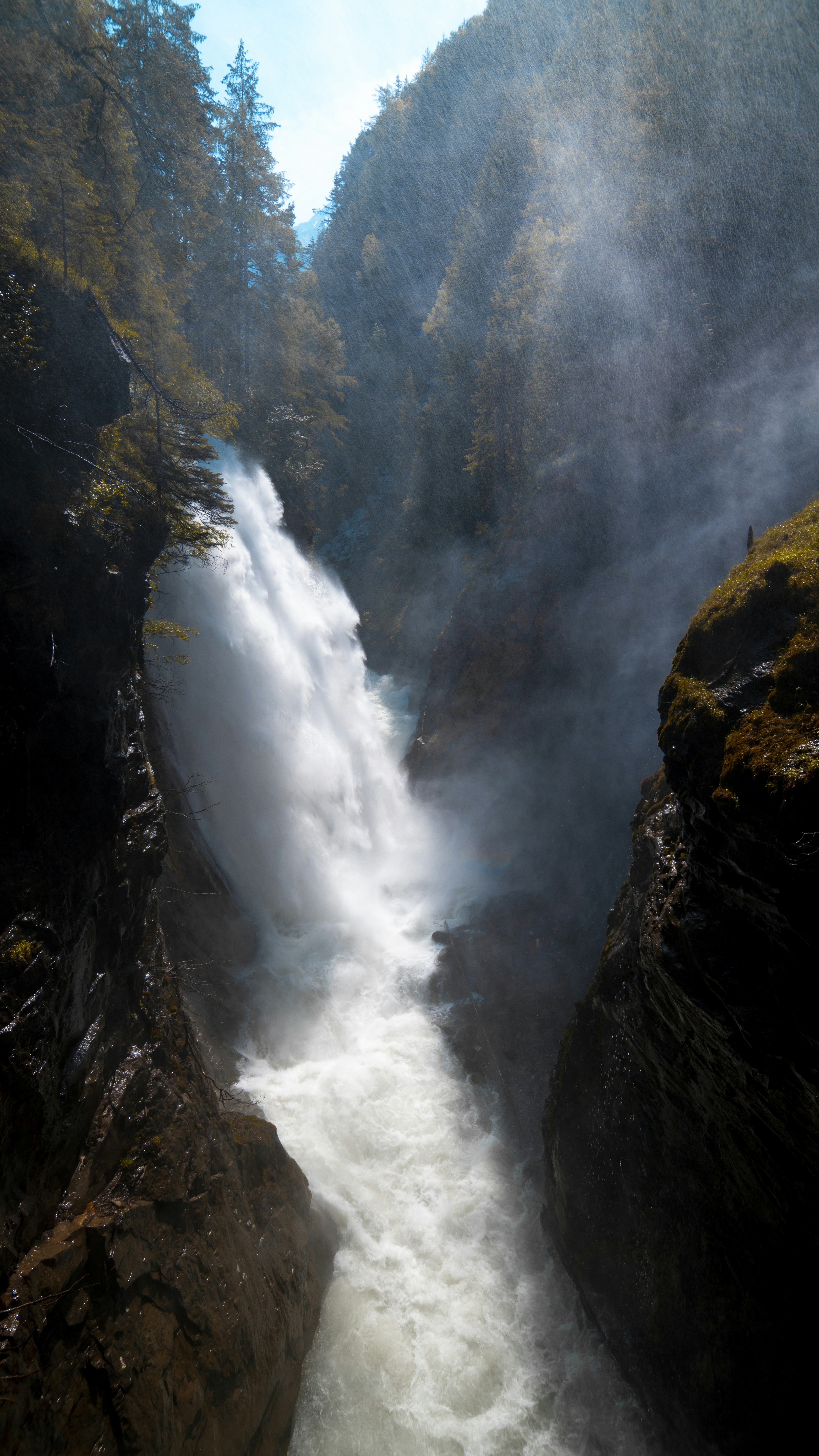 Image 1556170 — Nature