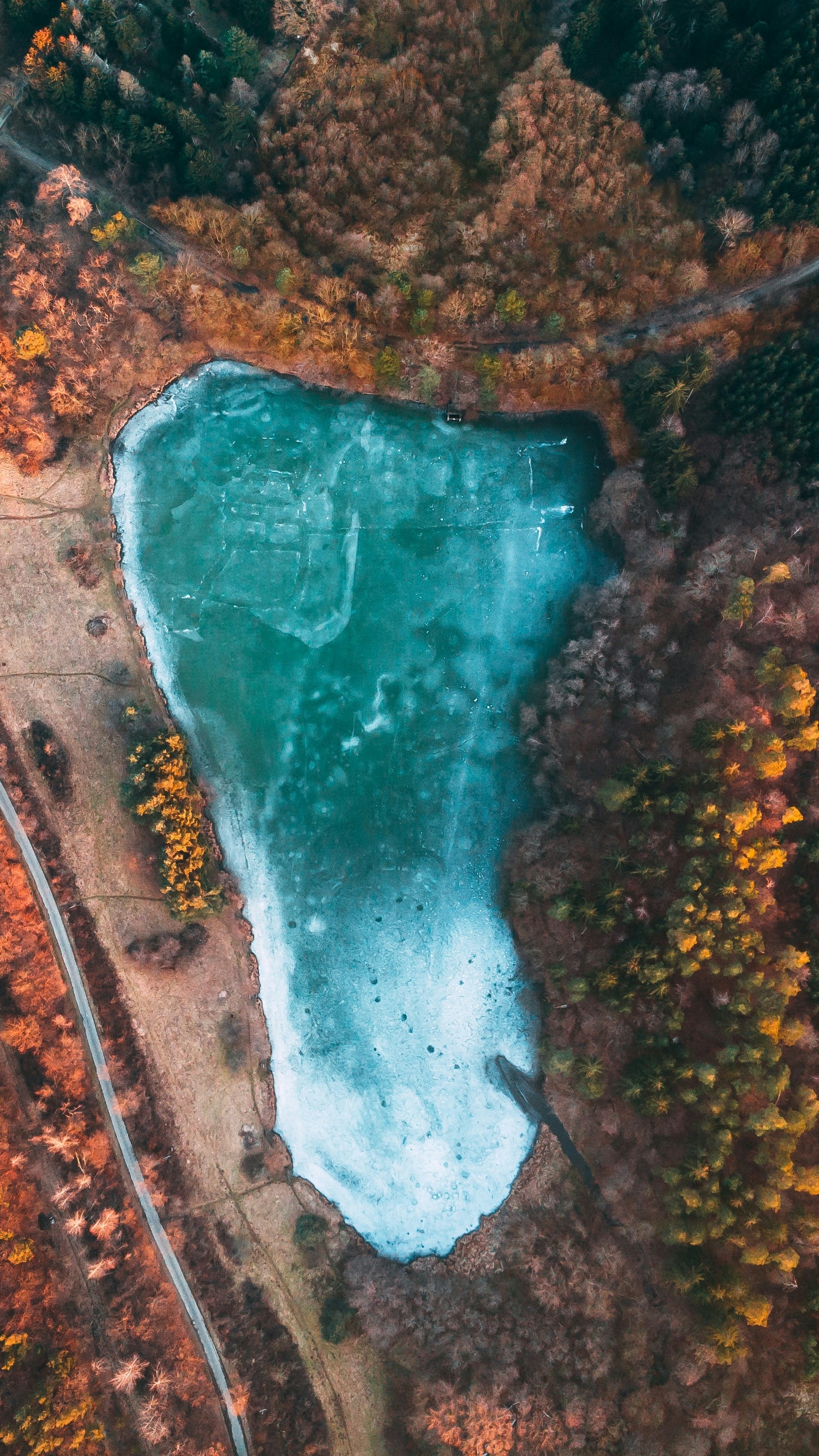 Wallpapers