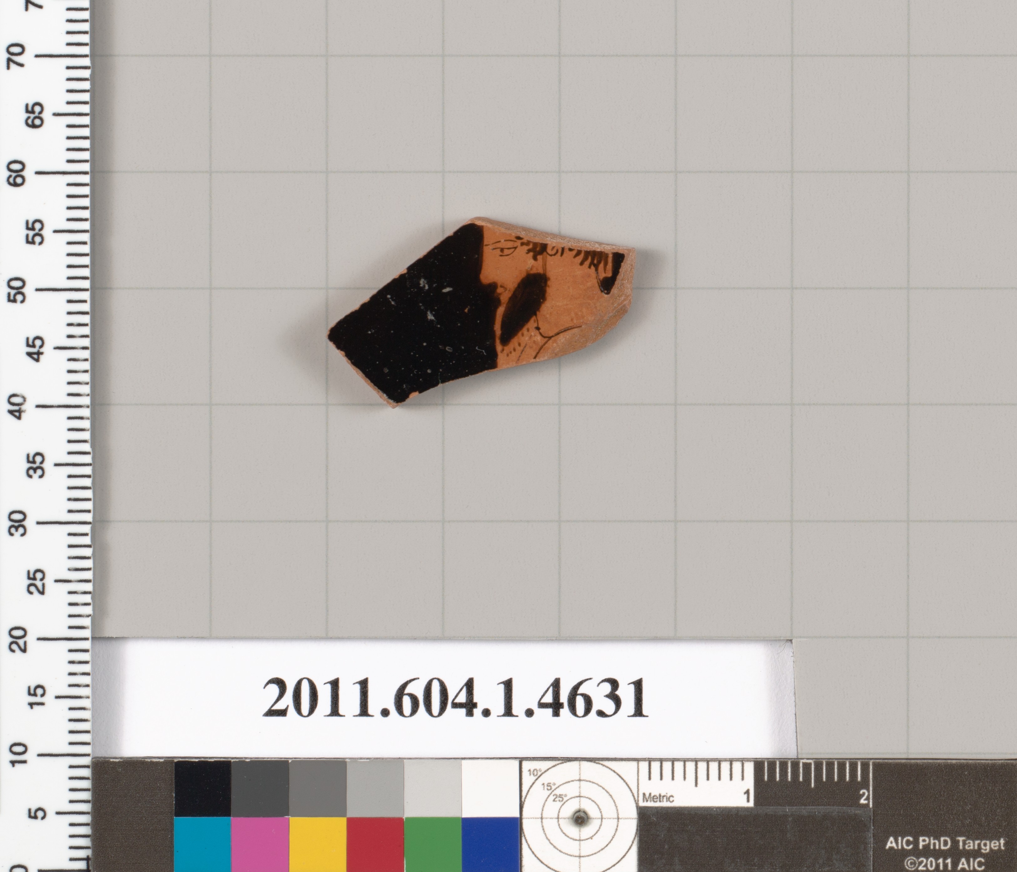 Ancient Pottery Fragment Artifact