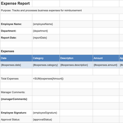 Expense Report