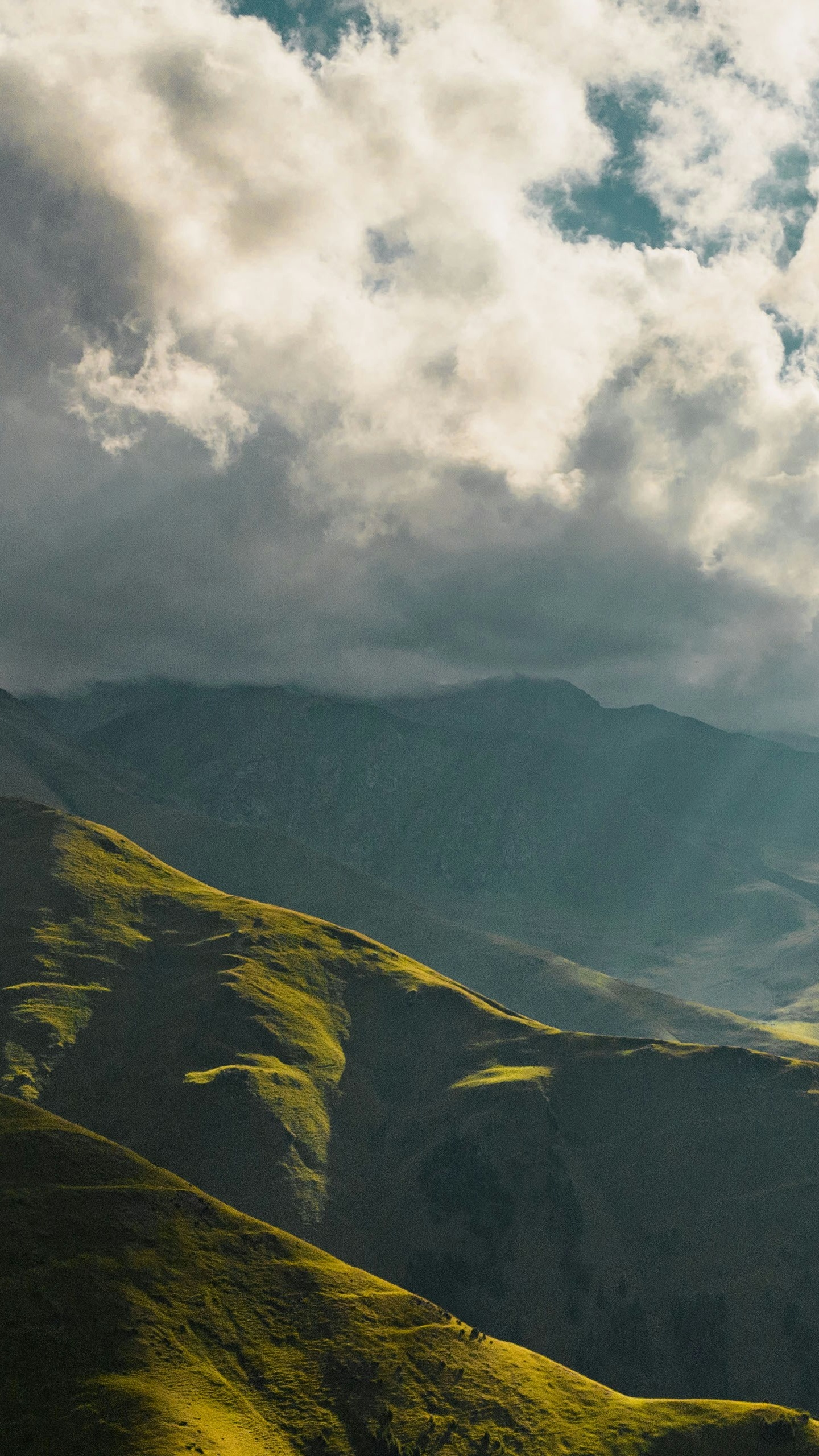 Landscapes