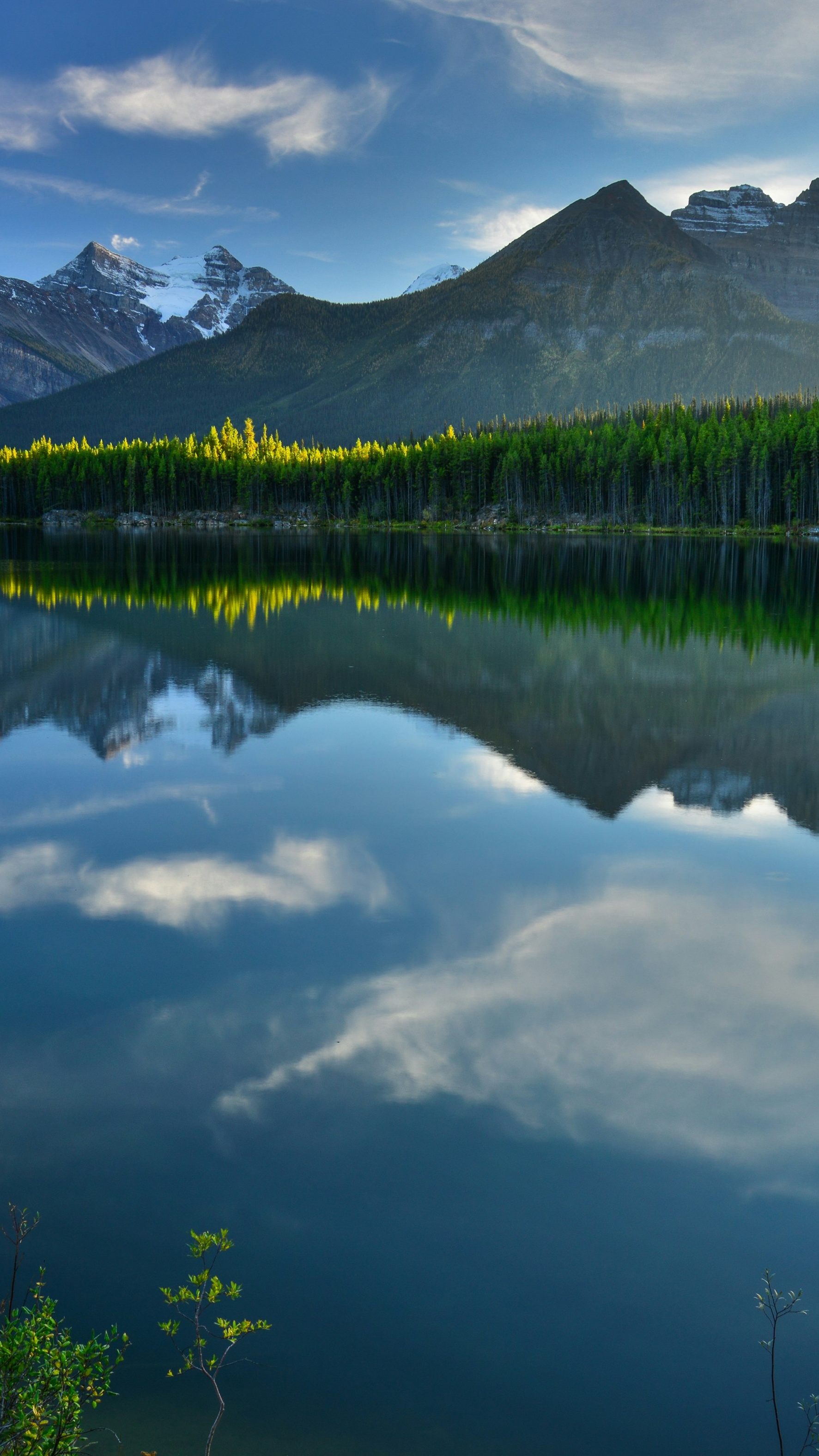 Landscapes