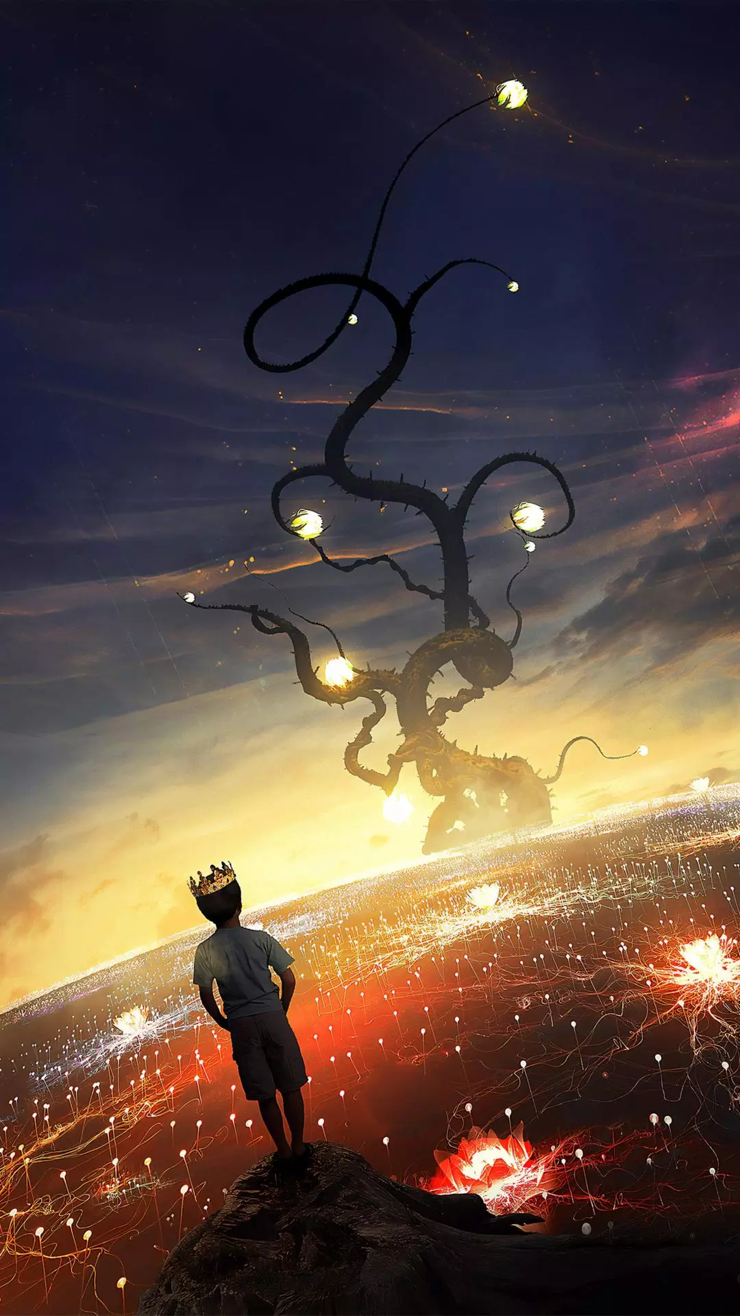 Wallpapers