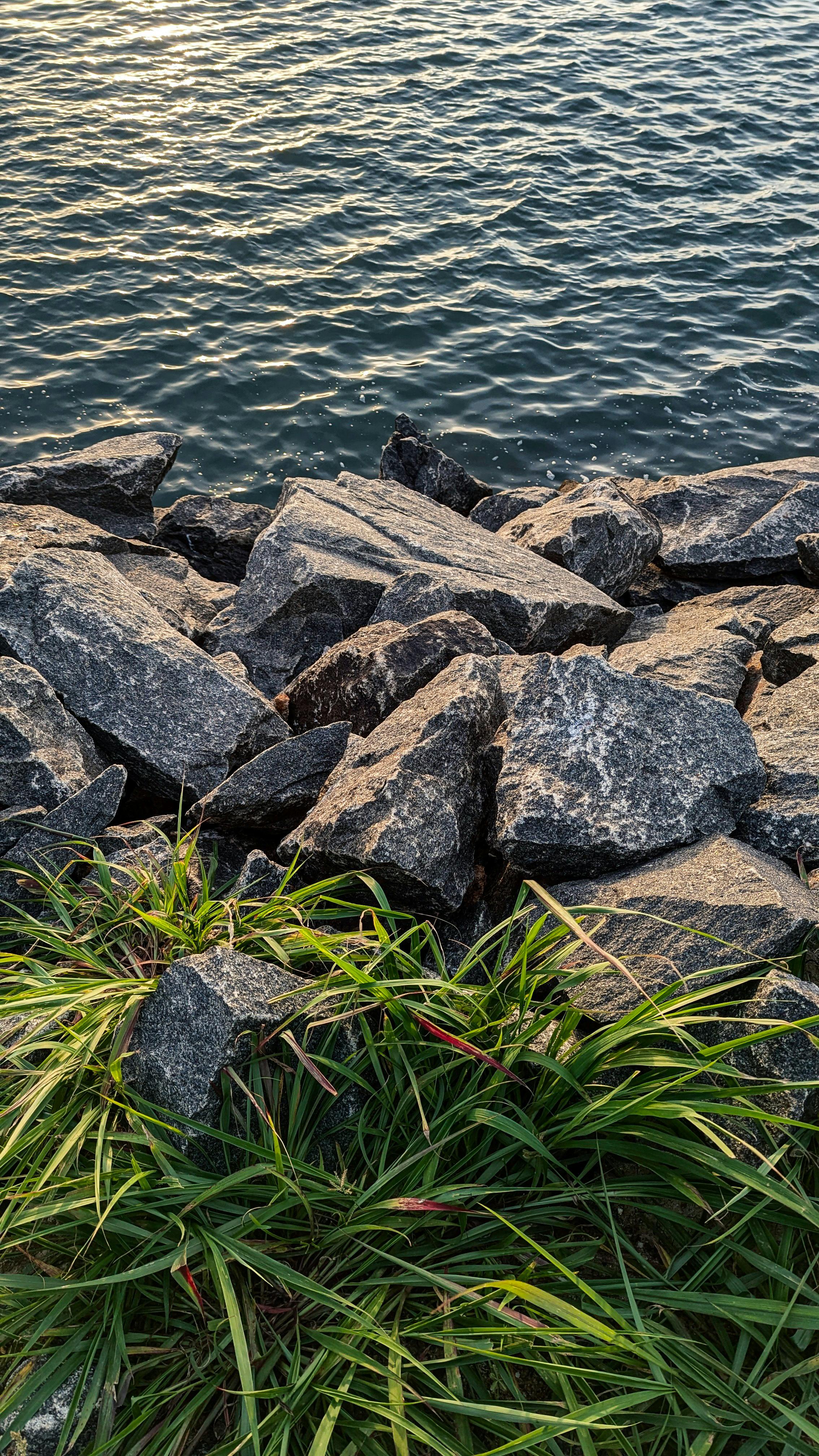 Rocky Shoreline by Sunlit Water