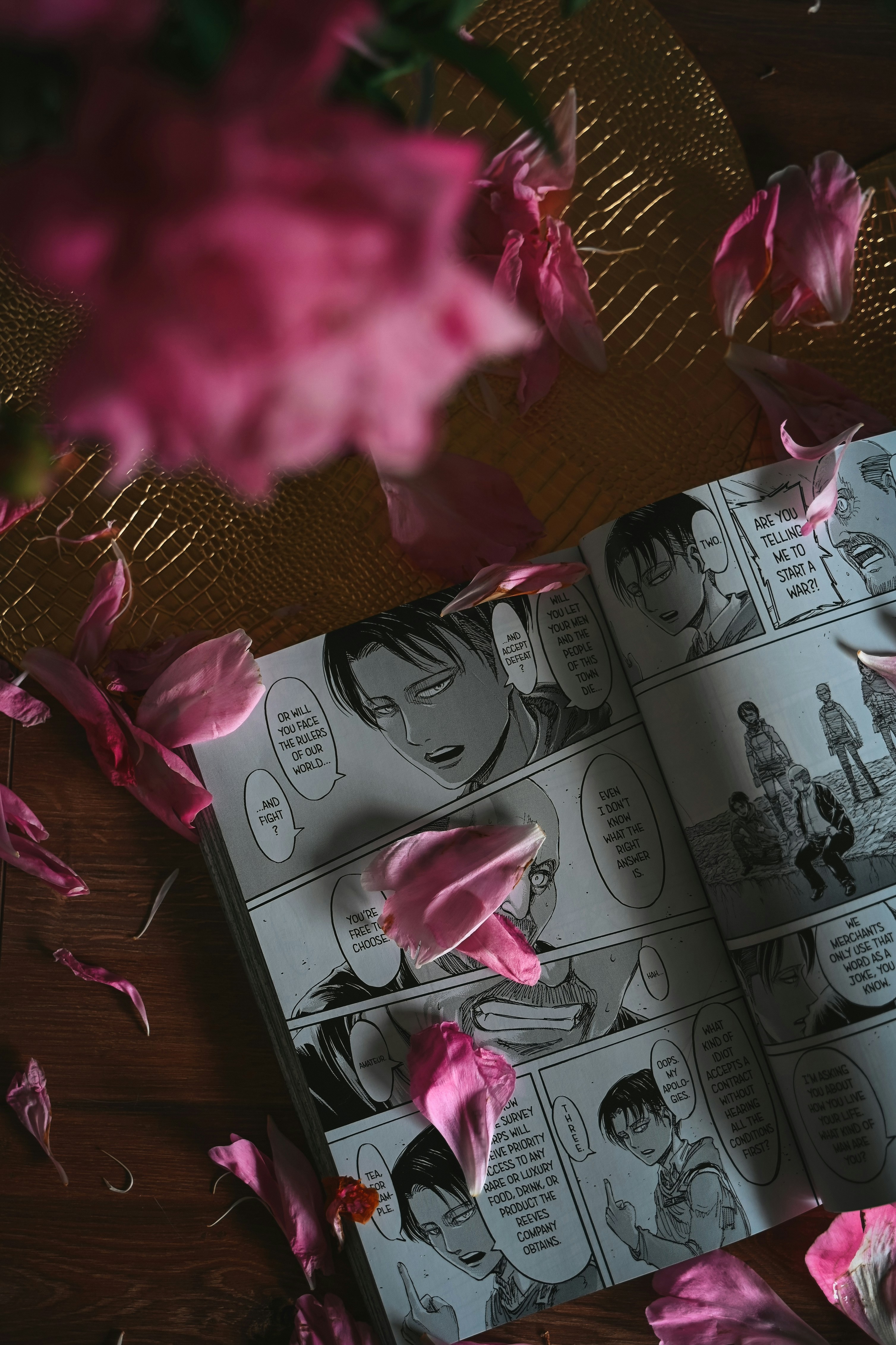 Image 1562521 — Images