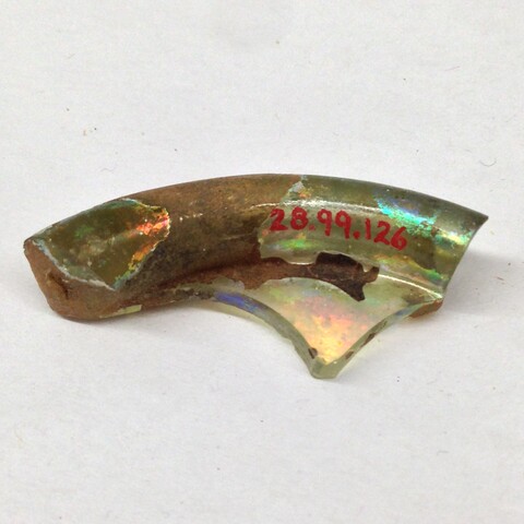 Cataloged Ancient Glass Fragment