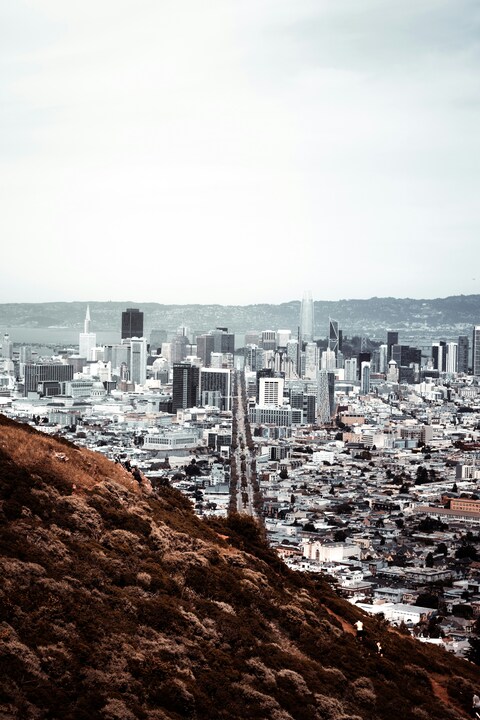 San Francisco City View From Hillside