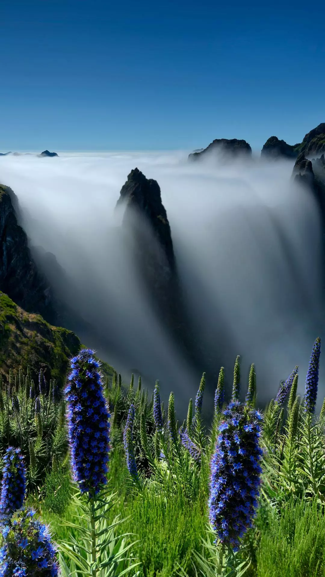 Landscapes