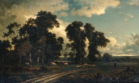 Rural Pastoral Landscape with Cattle