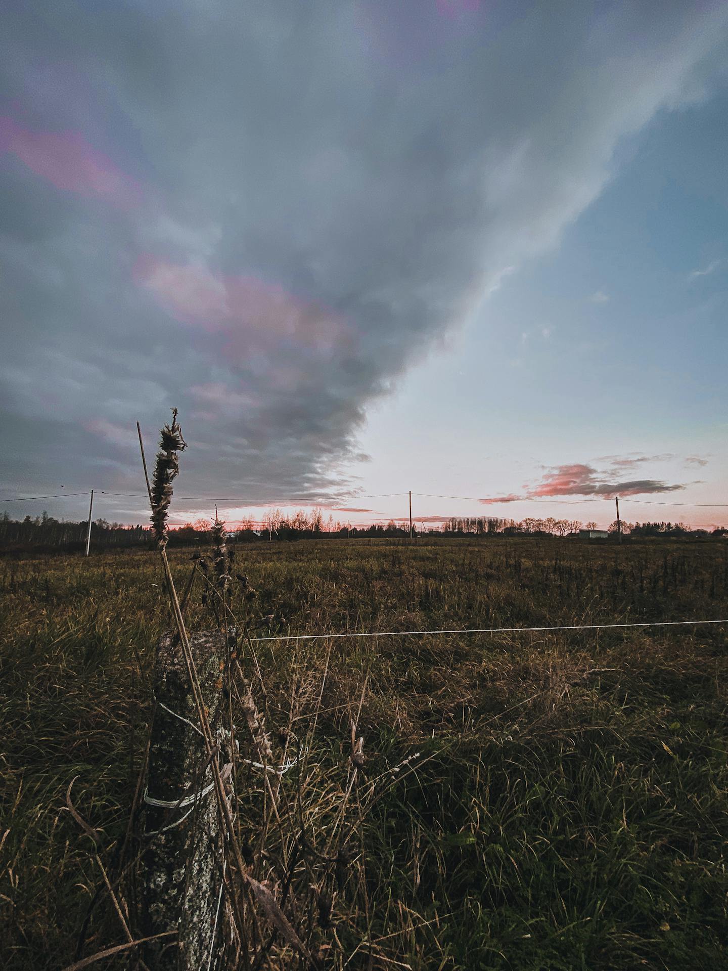Grassy Rural Field at Sunset — Art