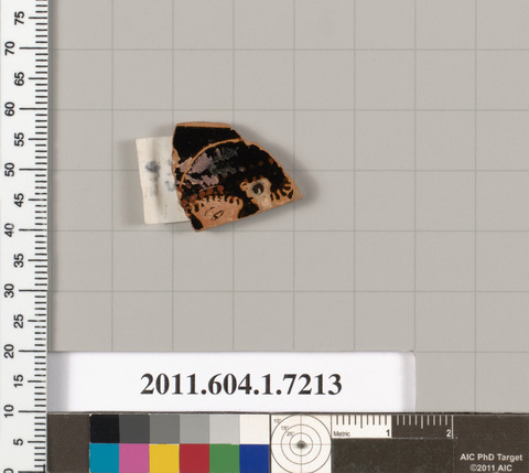 Painted Pottery Sherd Museum Specimen