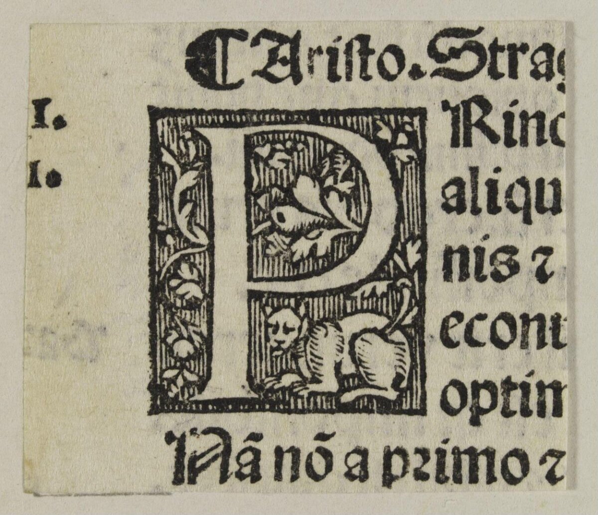 Decorative Initial P Woodcut Fragment