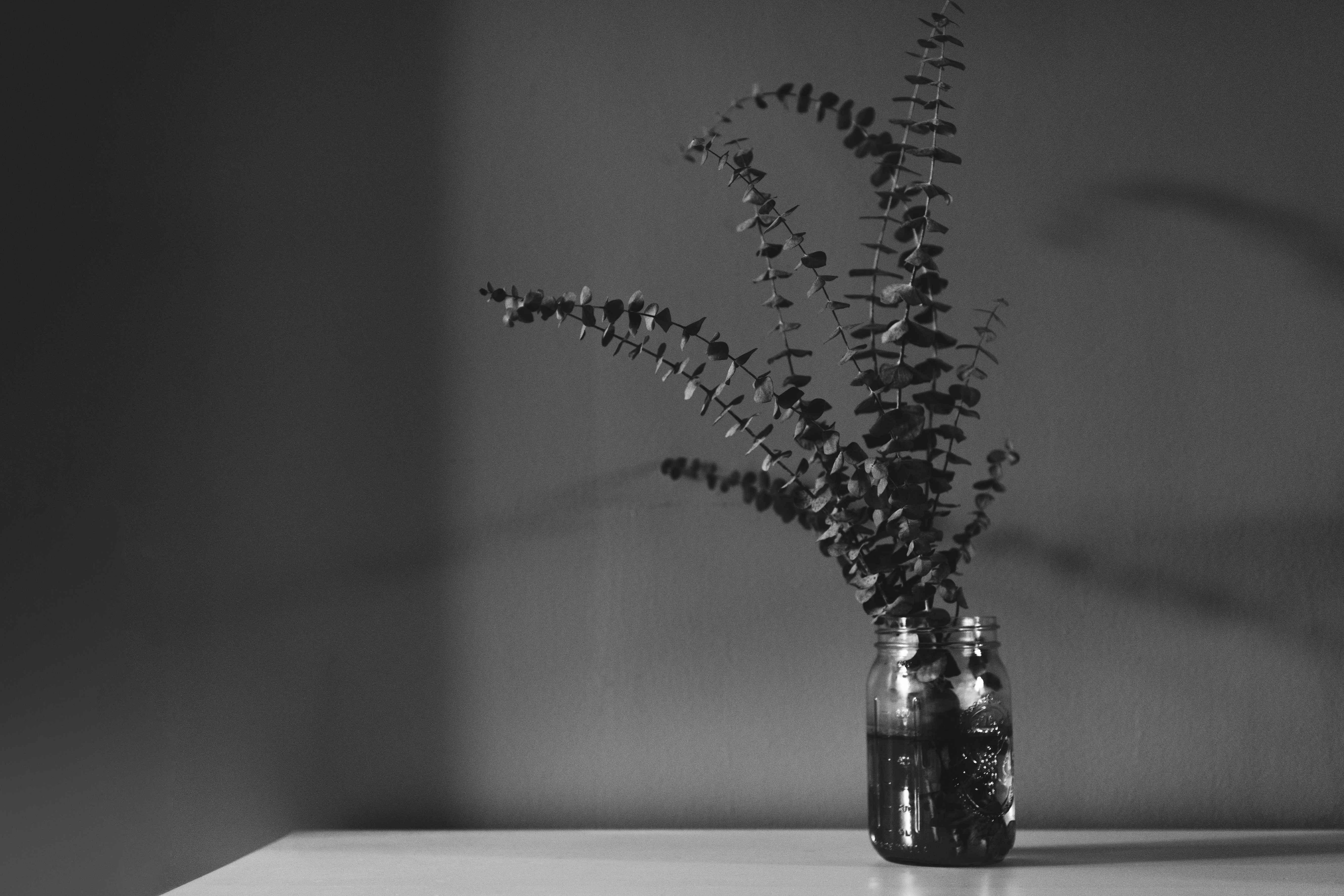 Eucalyptus Branches in Glass Jar