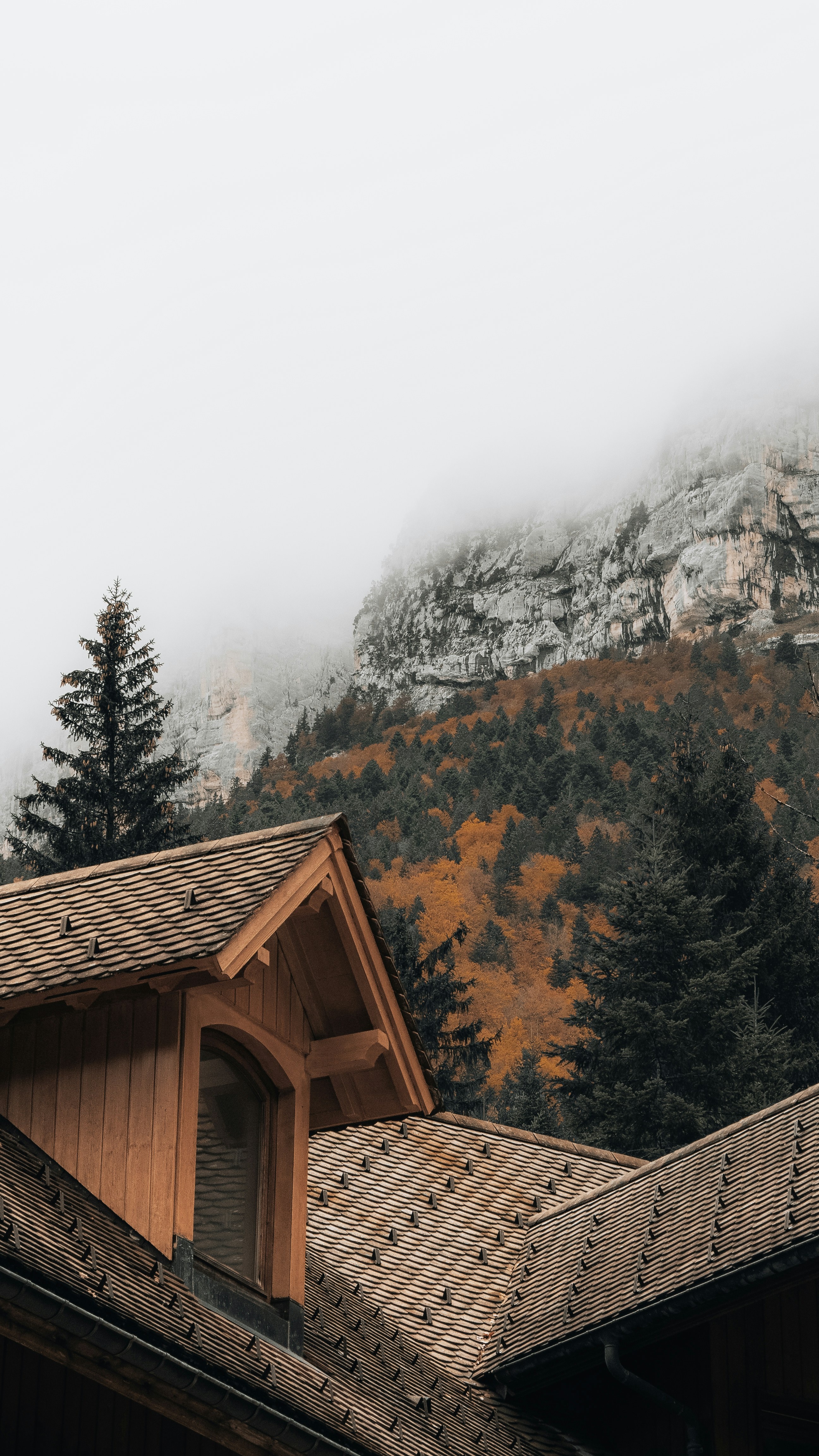 Wallpapers
