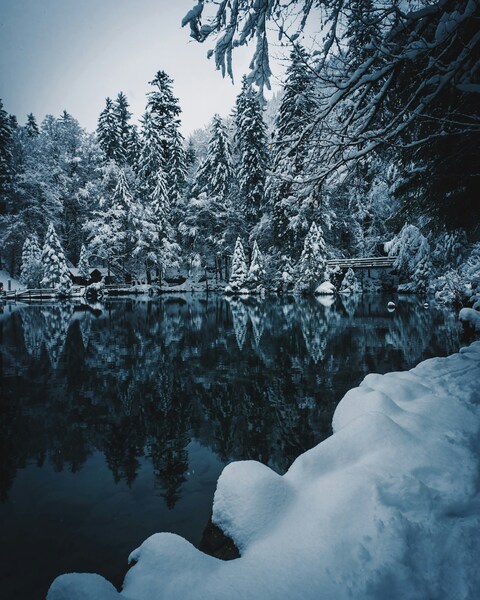 Snow-covered Forest Lake