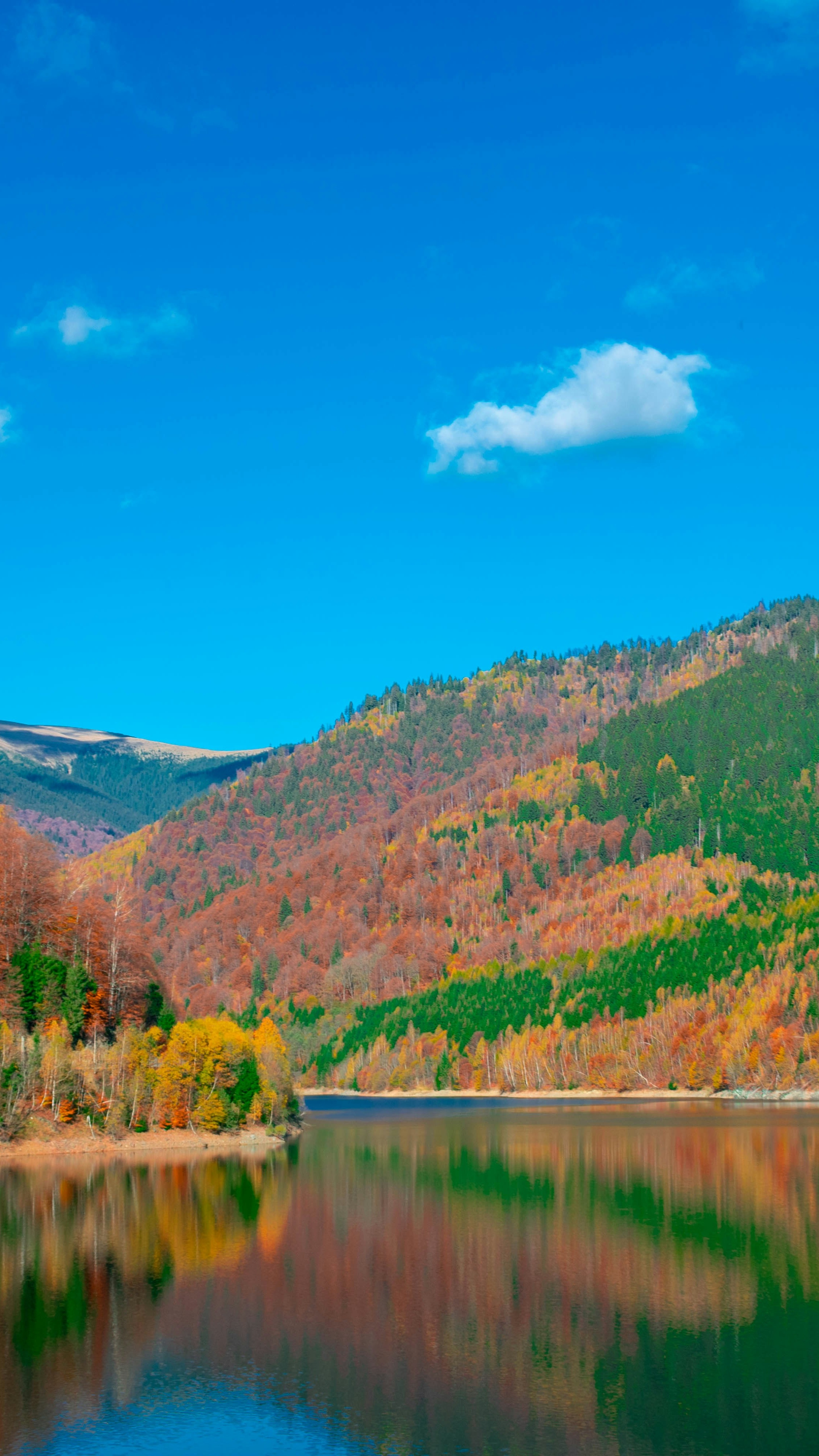 Autumn Mountain Lake Landscape