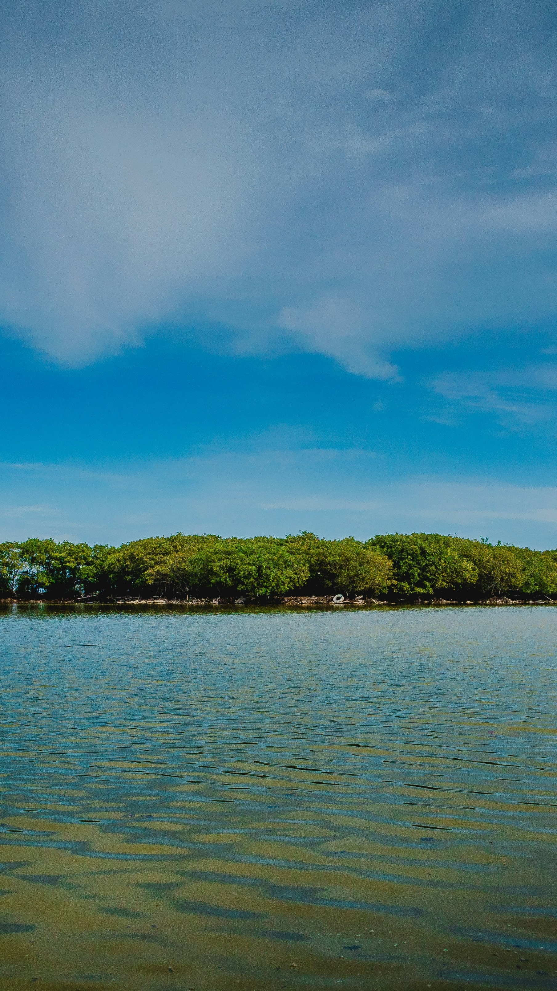 Calm Shallow Water with Forested Shore
