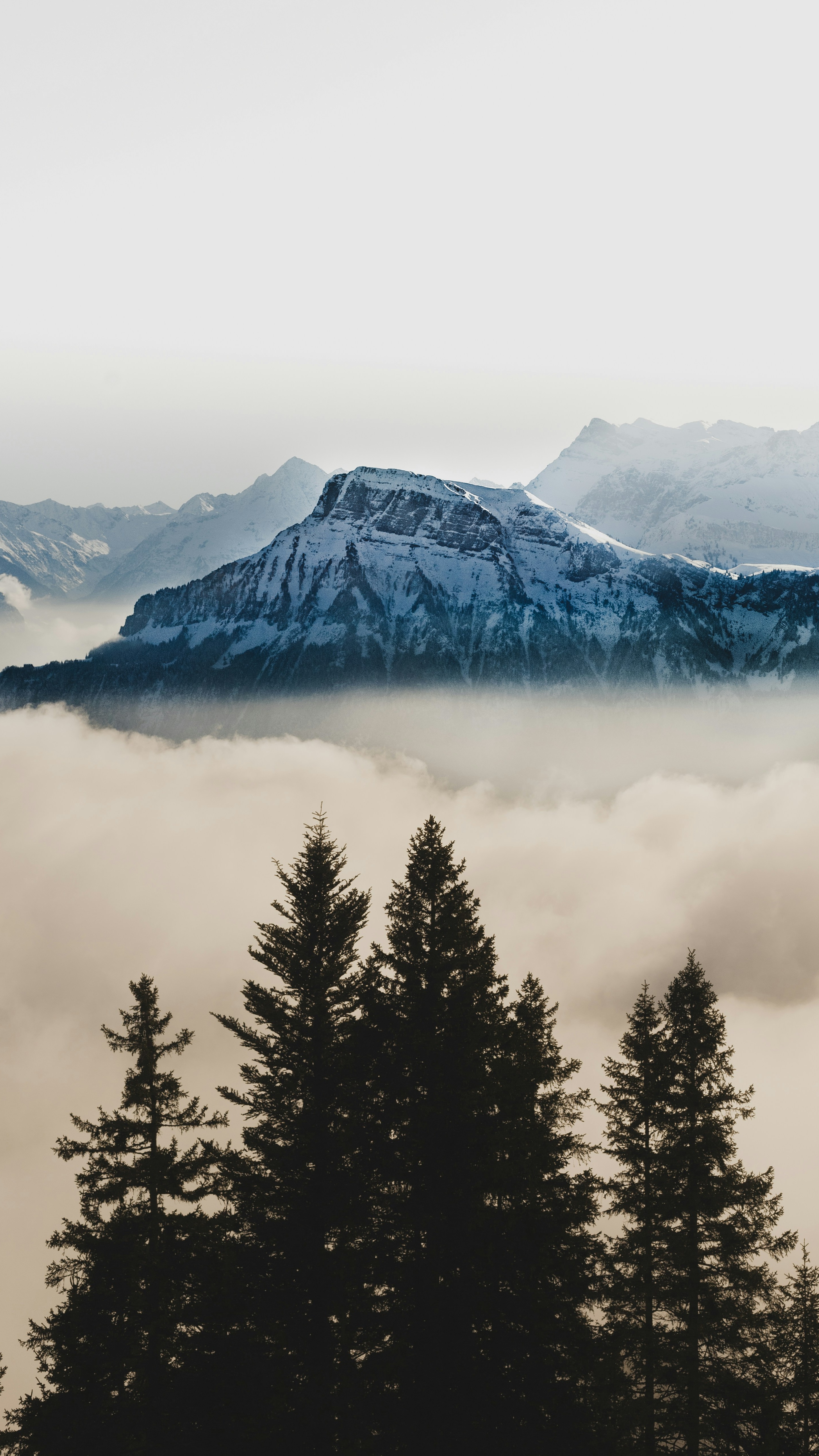 Snow-Capped Mountains Above Clouds