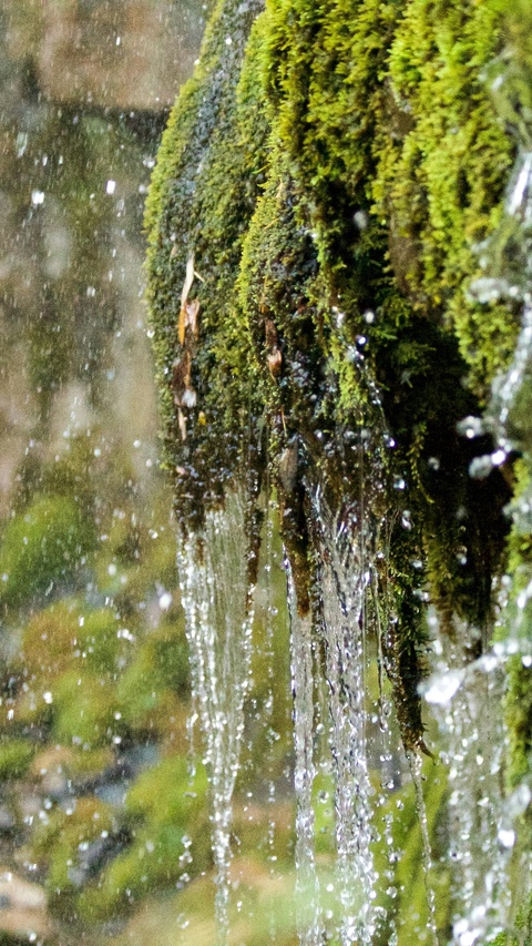 Trickling Water Over Mossy Rock