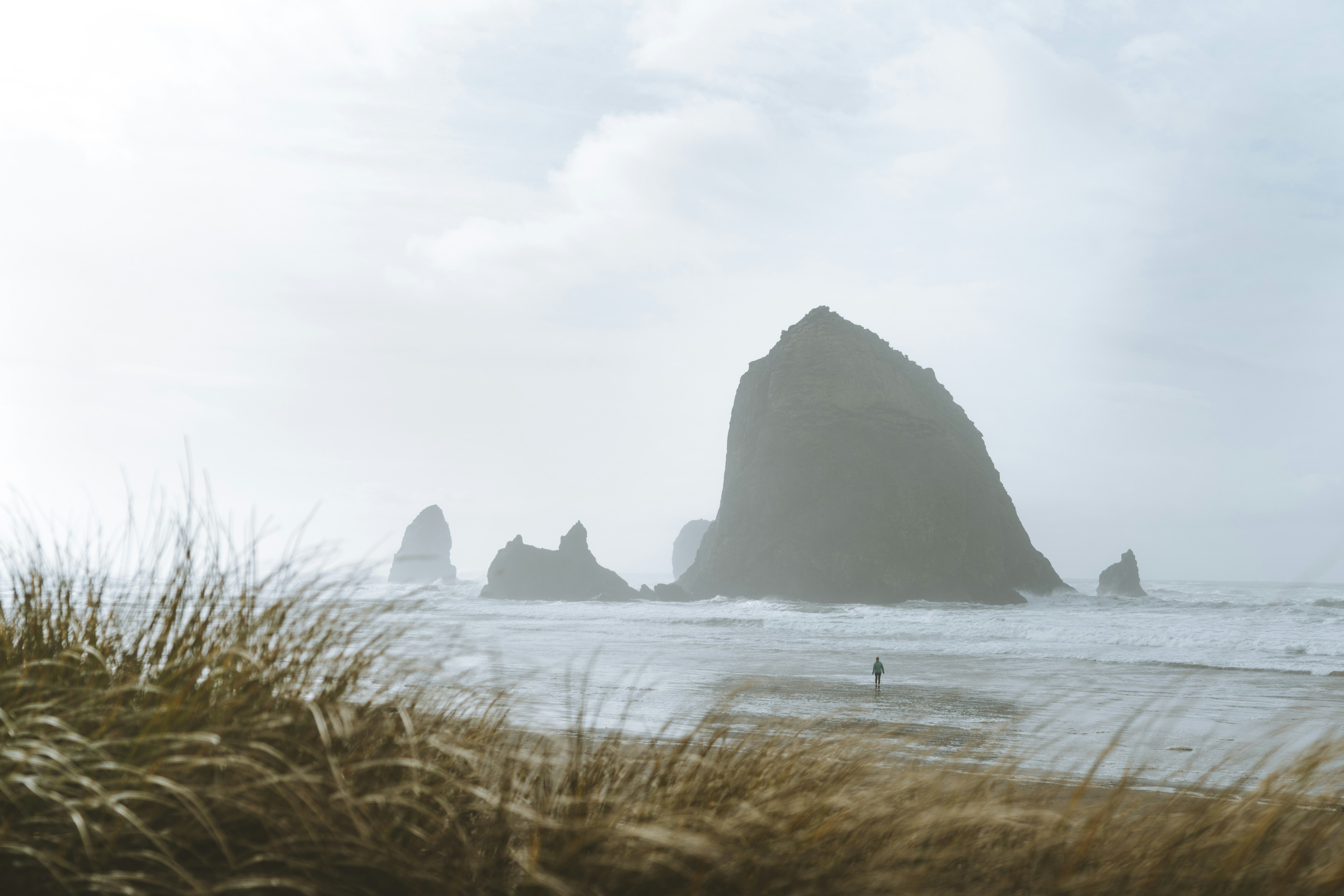 Misty Haystack Rock Beach